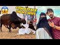 COW ATTACK ON MY WIFE 😱 | COW MANDI VLOG 😍 | MISHKAT KHAN