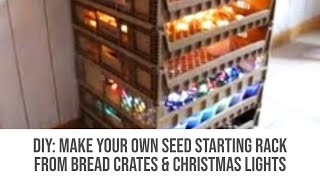 Cheap seed starting kit with lights (almost FREE) - Thrifty Thursday