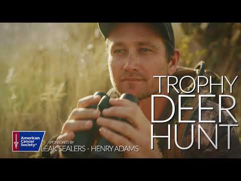 ACS CATTLE BARON 19 AUCTION