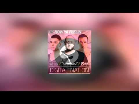 How Digital Nation Ya Feelin? - Technoboy + Tuneboy + Isaac vs TJR (LDA Mashup)