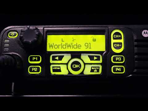 Brandmeister worldwide net talkgroup 91