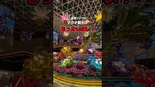 マカオ日帰りはもったいない！魅力はこれ
