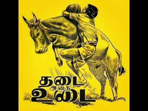 Kombu Vacha Singamda | G.V. Prakash Kumar | Jallikattu Song