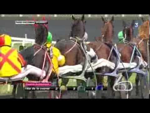 Prix de Sélection 2014 - Aladin d'Ecajeul (Eric Raffin)