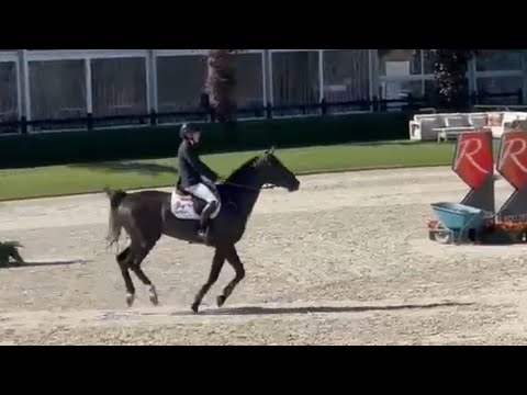 Rio de Janeiro GP - Show 2