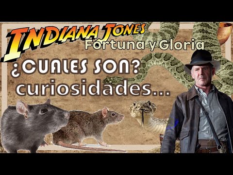 LOS BICHOS DE INDIANA JONES