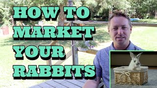 HOW TO MARKET YOUR RABBITS/HOW TO SELL YOUR RABBITS