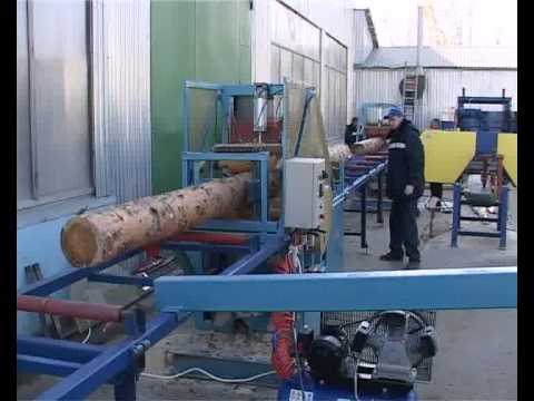 Säge Gattersäge Gatter Nachschnittsäge Nachschnittgatter, Naumann-Maschinen