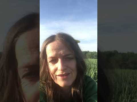 Objev svůj Drahokam - svou jedinečnost - Pro tvůj ŽIVOT♥