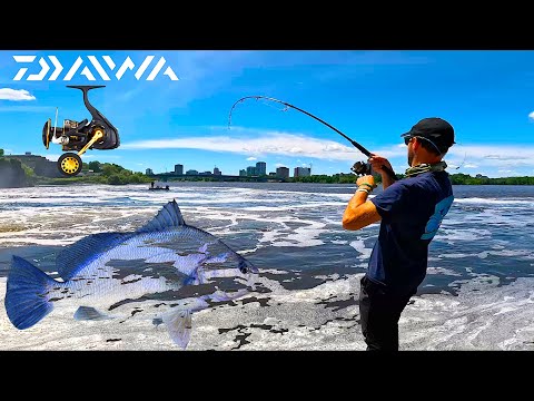 Ma non erano Pesci di Mare?! GROSSE CATTURE INASPETTATE a Spinning! Nuovo Daiwa BG SW