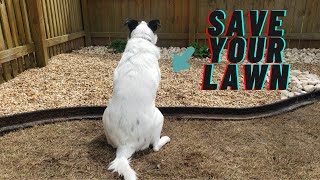 How to build a dog potty area outside on your lawn