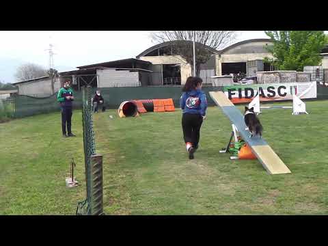 Ainhoa & Gea - CSEN agility junior 300