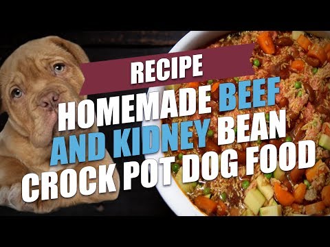 YouTube video about: Can dogs eat red bean paste?