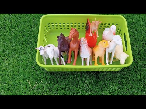 farm animals toys hen cartoon cock duck cartoon in basket |animals cartoon| animals toys|@gttoys6170