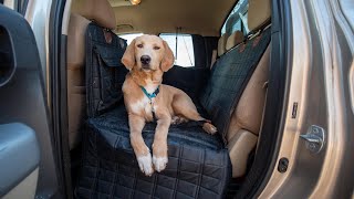 The LAST Dog Seat Cover You’ll Need - APetsPlanet