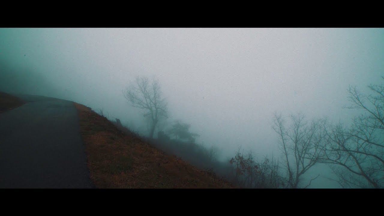 ピコン - 君の脈で踊りたかった ft. 初音ミク