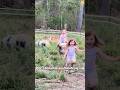 Different types of my child: feral kids👧👦#funny #fyp #kids #feralkids #toddlers #feral #family
