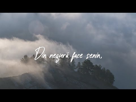 Din negură face senin | Muzica ProiectM