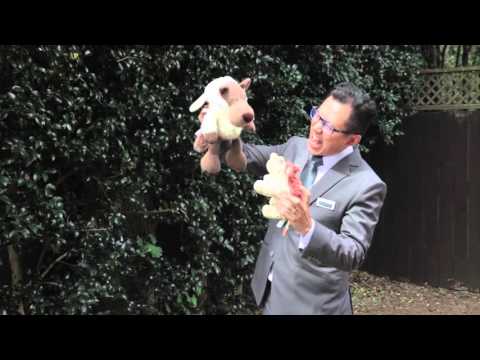 SOLD - 2/5 Morrin Street, Ellerslie - Rain Diao