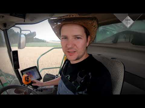 MFV-log #20 Ernteauswertung: Düngung, Hybrid- vs. Populationsroggen