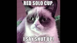 RED SOLO CUP-TOBY KEITH