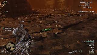 【スタートダッシュ遅れた】友人と強くなる【MH:ワイルズ】#7