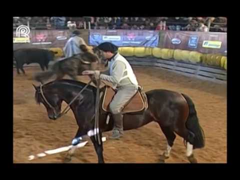 Sul RS – 1° lugar machos – Facón 1069 Maufer