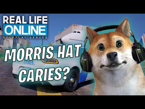 ANDL BEFÖRDERT SICH SELBER?! 😂 - CSYON Stream Highlights