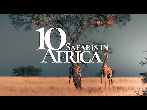 10 Most Beautiful Safaris to Visit in Africa 🐘 | Safari Travel Guide