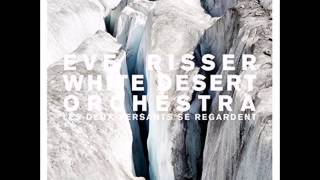 Eve Risser White Desert Orchestra - Earth Skin Cut