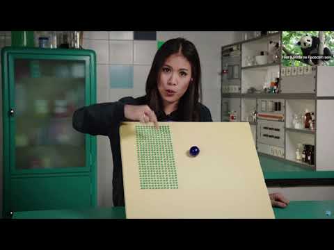 Lotuseffekt experiment