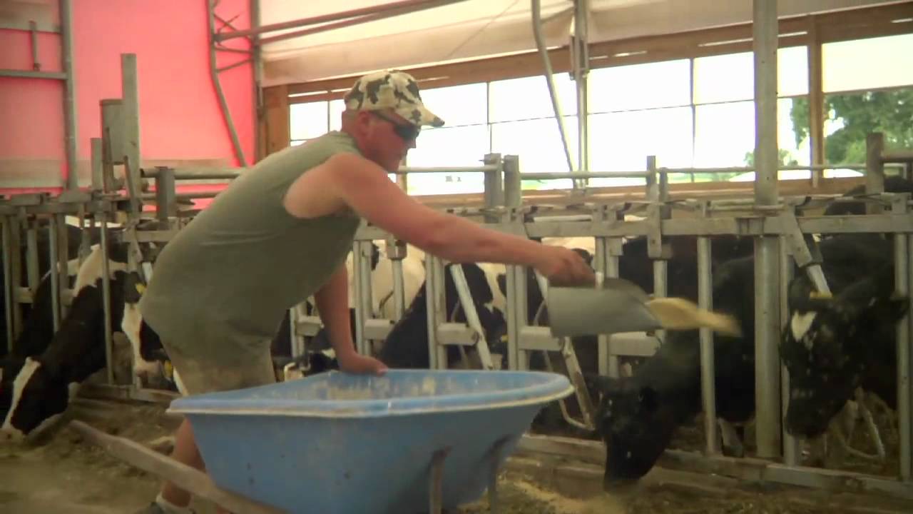 Manning Dairy, VT