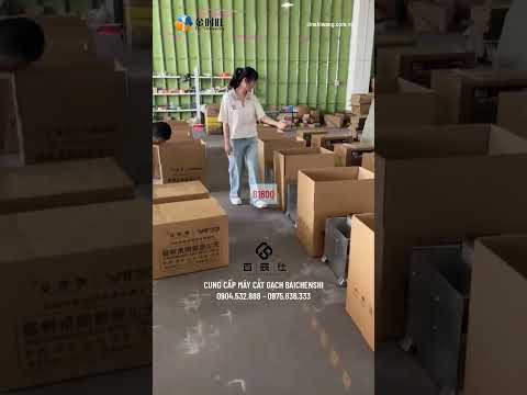 #maycatgachbaichenshi