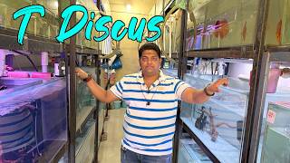 New Discus Stock at T DISCUS I Delivery availabe all over India