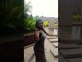 Jimikki Ponnu ️ Just Loving Rainy Climate Lavanyadesires Shortvideo Viral Video Shortsyoutube