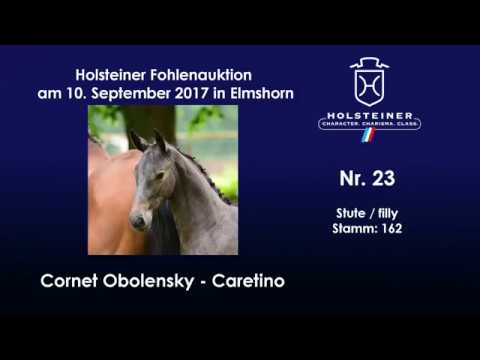 Nr. 23 v. Cornet Obolensky - Caretino