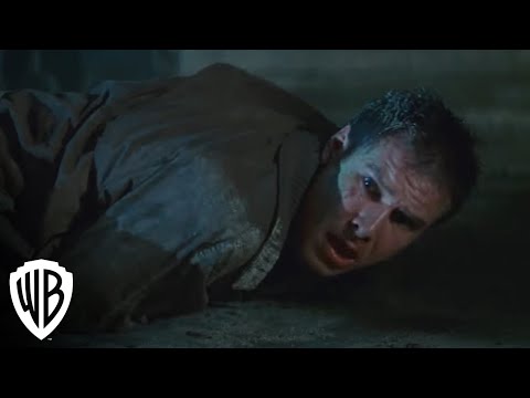Deckard vs. Pris