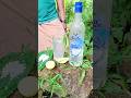 Magic Moments With Shorts Vodka Viral