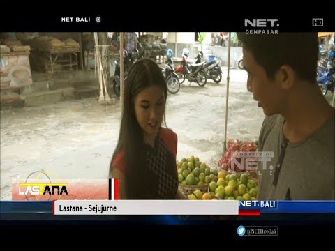 NET. BALI  | INDIE CLIP | LASTANA  - SEJUJURNE