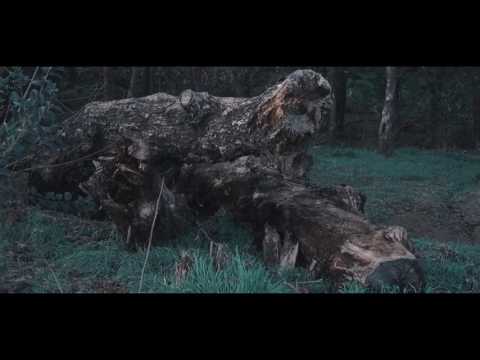 Sauce - Dirty Life | Dir. @WETHEPARTYSEAN