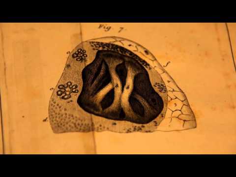 Science and the Practice of Medicine 2015 - JHU Online Program in the History of Medicine