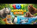 101 Animals For Kids Learn Incredible Jungle And Sea Animal Names With Fun Animal Facts