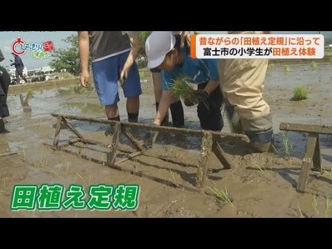 YouTube Video 小学生が昔ながらの道具「田植え定規」を使った田植えを体験 静岡・富士市