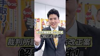 【閣法解説】裁判所職員定員法改正案 #おだけかい #国民民主党