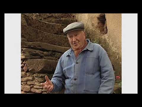 Lo tropèl d'abelhas