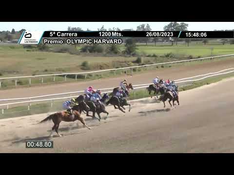 26/08/2023 – Hipodromo Las Piedras – Carr 5 – OLYMPIC HARVARD