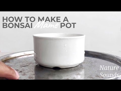 How to Make a Recessed Foot Mame Bonsai Pot From an Kitchen Dish, April2022