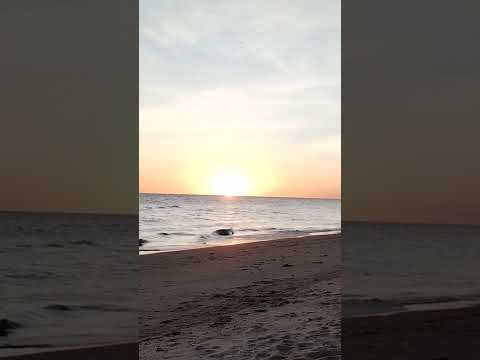 Blanca Arena, Colonia