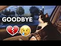 I Сame Back To Say Goodbye