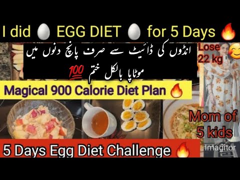 Lose 5 KG in 5 Days with EGG DIET | 900 Calorie Meal Plan | How to Lose Weight Fast | Lose Belly Fat
